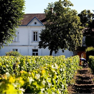 Chateau des Mailles Vignobles